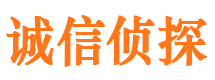 长海市私家侦探